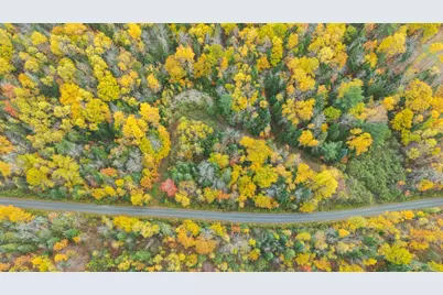 Lot #41-03 Forest Brook Drive, Abbot, ME 04406 - Photo 6
