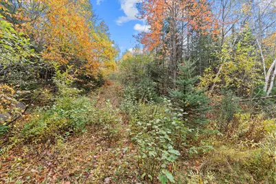 Lot #41-03 Forest Brook Drive, Abbot, ME 04406 - Photo 14