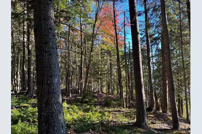 Lot 20-15 Collins Cove Road, Machiasport, ME 04655 - Photo 18