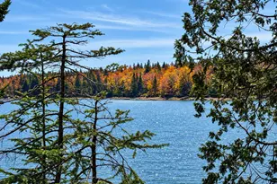 Lot 20-15 Collins Cove Rd, Machiasport, ME 04655 - Photo 1