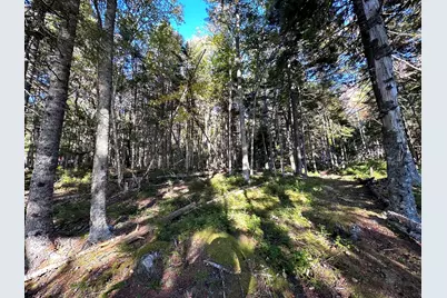Lot 20-15 Collins Cove Road, Machiasport, ME 04655 - Photo 16