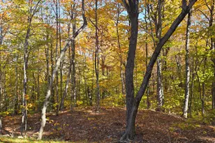 620 Streaked Mountain Rd, Buckfield, ME 04220 - Photo 66