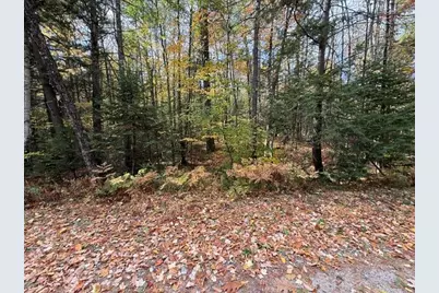 0 Holt Road, Norway, ME 04268 - Photo 10