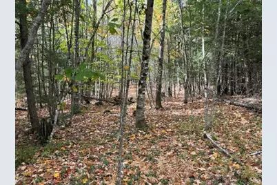 0 Holt Road, Norway, ME 04268 - Photo 6