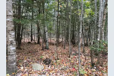 0 Holt Road, Norway, ME 04268 - Photo 4
