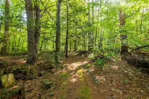 14 Thurrell Rd, South Berwick, ME 03908 - Photo 68