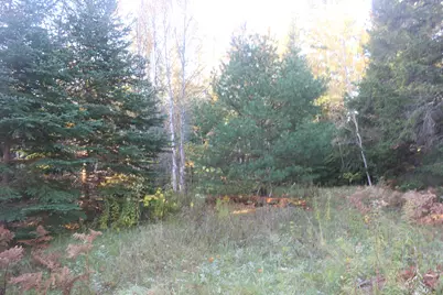 177 Gin Cove Road, Perry, ME 04667 - Photo 2