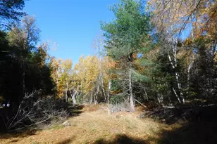 63 Orcutt Mountain Rd, Bucksport, ME 04416 - Photo 68