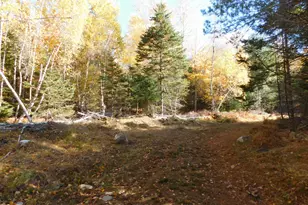 63 Orcutt Mountain Rd, Bucksport, ME 04416 - Photo 72