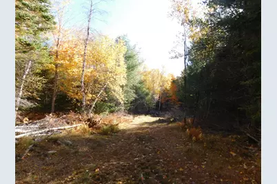 63 Orcutt Mountain Road, Bucksport, ME 04416 - Photo 66