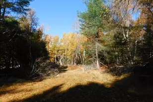 63 Orcutt Mountain Rd, Bucksport, ME 04416 - Photo 70