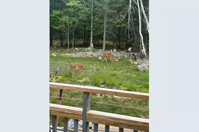 63 Orcutt Mountain Road, Bucksport, ME 04416 - Photo 52