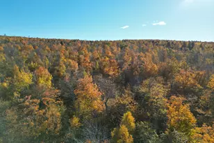 384 Stanhope Mill Rd, Lincoln, ME 04457 - Photo 18