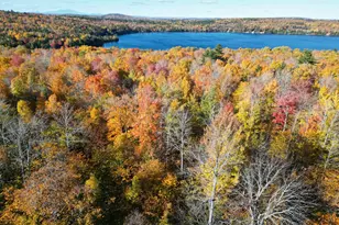 384 Stanhope Mill Rd, Lincoln, ME 04457 - Photo 12