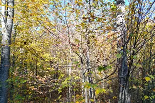 384 Stanhope Mill Rd, Lincoln, ME 04457 - Photo 16
