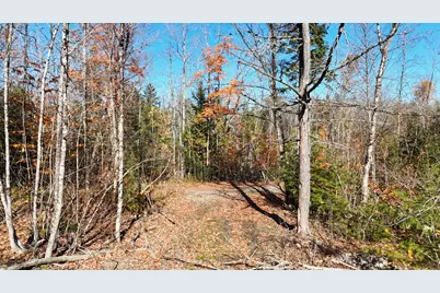 Lot 1 Old County Road, Woodville, ME 04457 - Photo 18