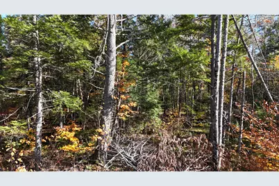 Lot 1 Old County Road, Woodville, ME 04457 - Photo 10