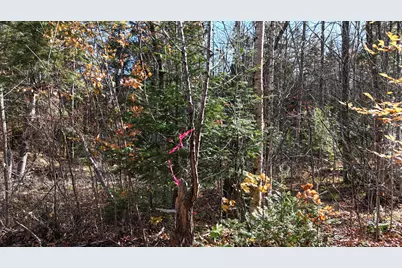 Lot 1 Old County Road, Woodville, ME 04457 - Photo 20