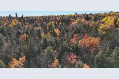 Lot 1 Old County Road, Woodville, ME 04457 - Photo 6