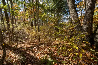Lot 2 Lupine Road, Belfast, ME 04915 - Photo 8
