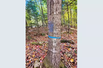 M13 L55 Holman Road, Peru, ME 04290 - Photo 24