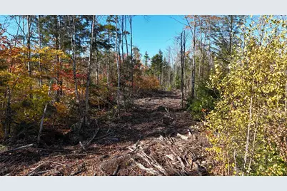 Lot 4 Long Pine Road, Woodville, ME 04457 - Photo 4