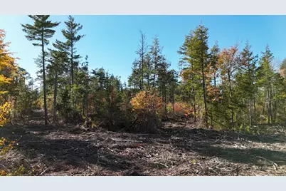 Lot 4 Long Pine Road, Woodville, ME 04457 - Photo 16