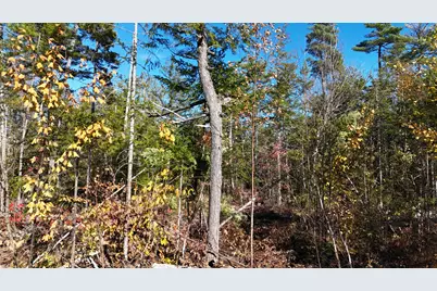 Lot 5 Long Pine Road, Woodville, ME 04457 - Photo 14