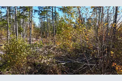 Lot 5 Long Pine Road, Woodville, ME 04457 - Photo 16