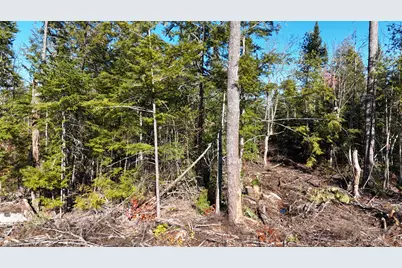 Lot 5 Long Pine Road, Woodville, ME 04457 - Photo 12