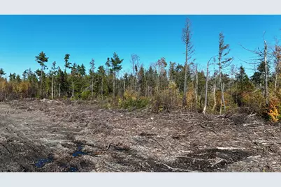 Lot 5 Long Pine Road, Woodville, ME 04457 - Photo 6