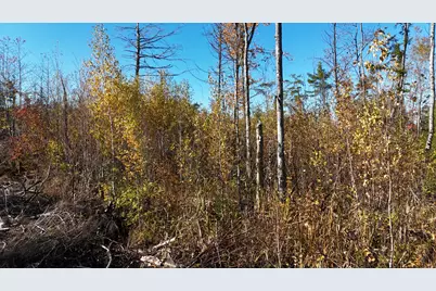Lot 5 Long Pine Road, Woodville, ME 04457 - Photo 4