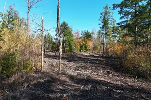 Lot 5 Long Pine Rd, Woodville, ME 04457 - Photo 1