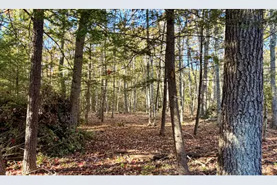 Lot A Branch Road, Wells, ME 04090 - Photo 8