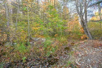 Lot 16 Lost Mile Road, Parsonsfield, ME 04047 - Photo 14