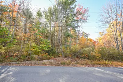 Lot 16 Lost Mile Road, Parsonsfield, ME 04047 - Photo 12
