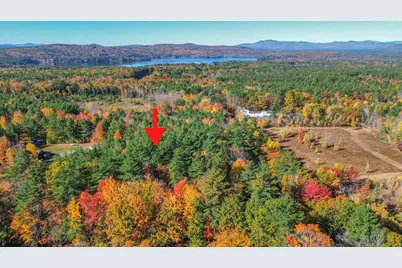 Lot 16 Lost Mile Road, Parsonsfield, ME 04047 - Photo 4