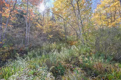 Lot 16 Lost Mile Road, Parsonsfield, ME 04047 - Photo 18