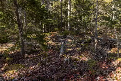 27-10-4E2A Pine Cone Lane, Surry, ME 04684 - Photo 2