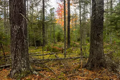 27-10-4E2A Pine Cone Lane, Surry, ME 04684 - Photo 1