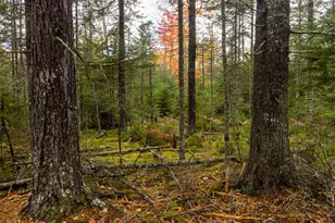 27-10-4E2A Pine Cone Ln, Surry, ME 04684 - Photo 1