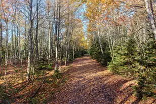 183 Hooke Rd, Harrington, ME 04643 - Photo 30