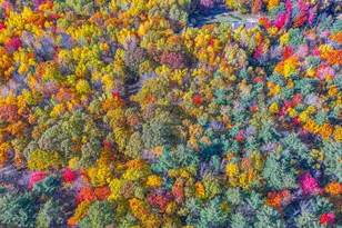 Lot 42K Taylor Ln, Harrison, ME 04040 - Photo 1