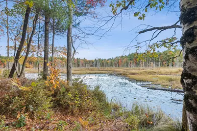 11 Hayes Drive, Gray, ME 04039 - Photo 24