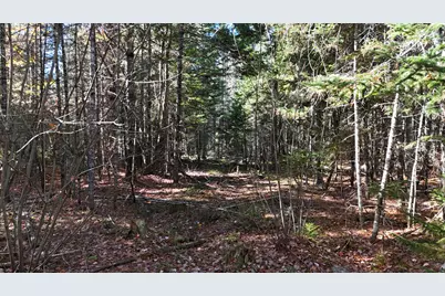 64 Woodman Road, Burlington, ME 04401 - Photo 34