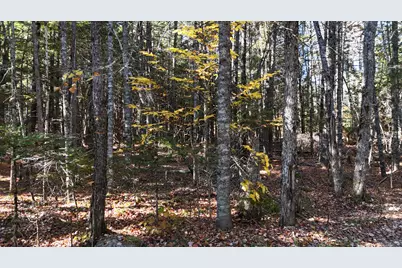 64 Woodman Road, Burlington, ME 04401 - Photo 36