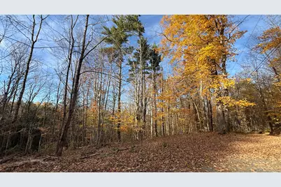 29 Lovers Lane, Saint Albans, ME 04971 - Photo 56