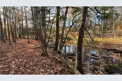 29 Lovers Lane, Saint Albans, ME 04971 - Photo 48