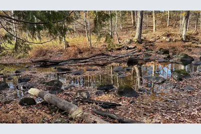 29 Lovers Lane, Saint Albans, ME 04971 - Photo 50