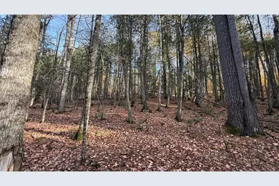 29 Lovers Lane, Saint Albans, ME 04971 - Photo 54